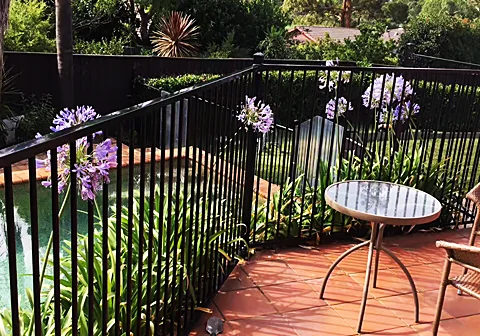 Ornamental Fence