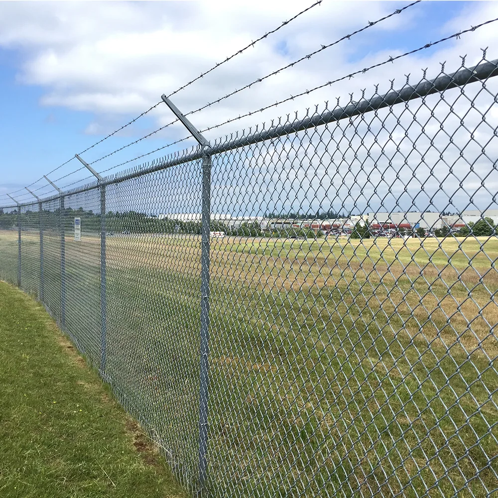 Barbed Wire with chain link fence